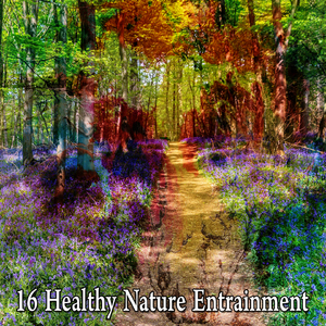 Take A Walk In Nature