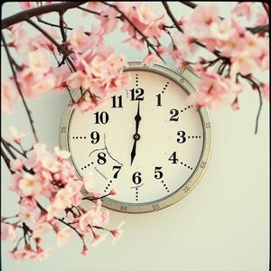 まだ生きれそうだな