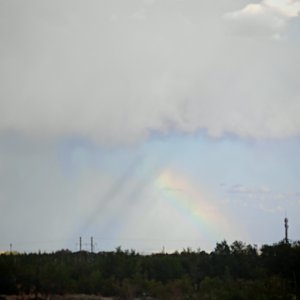 陪你等黄昏日落