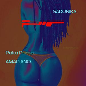 Paka Pump Amapiano (feat. Luxe Lobe)