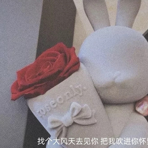 土到极致就是潮.wav