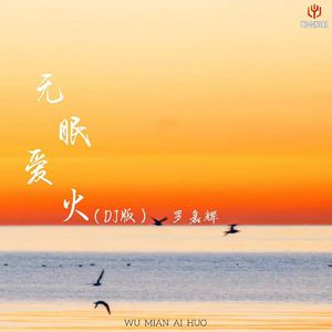 无眠爱火(DJ版)
