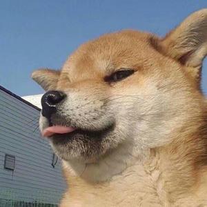 她是造物者难辞其咎的败笔