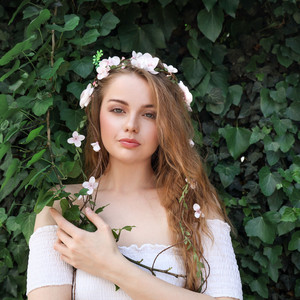 Wilderness Lullaby in Birch's Elegance