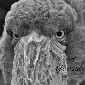 退屈ハイウェイ