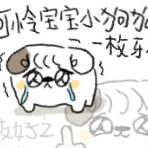 最美好的时光kk