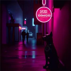 Dingo