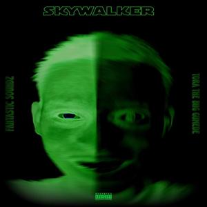 Skywalker (feat. Fantastic Soundz)