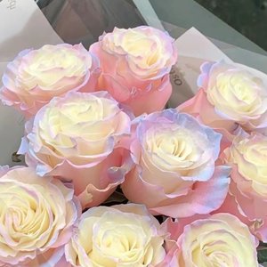 听我说（prod Siren）