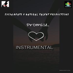 THE PROMISE INSTRUMENTAL (Instrumental) (Instrumental)