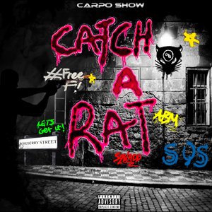 Catch A Rat