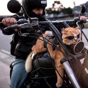 李圣杰-最近（翻唱）（西北玄天一片云 remix）