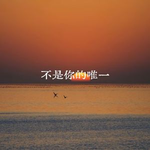 不是你的唯一