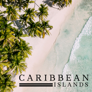 Another Day in Paradise