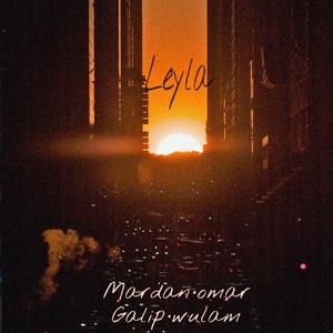 Leyla （prod MEGA)