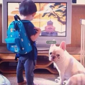 匆匆那年【降调男声】（Cover）