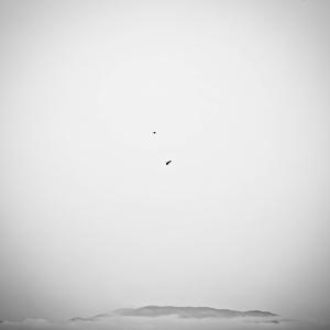 Fragments of a Distant Sky