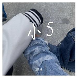 小五小5_缩混
