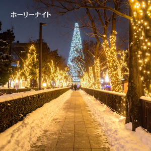 ホーリーナイト