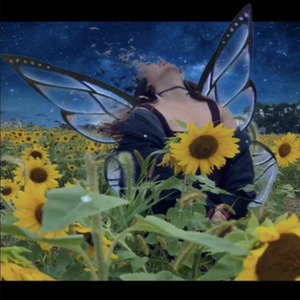 An Old Butterfly