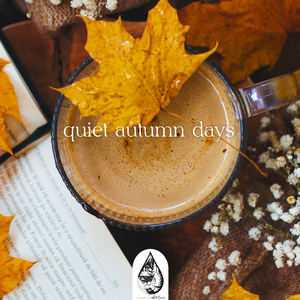 Pictures of the Moon