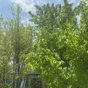 我们是自豪兴文人