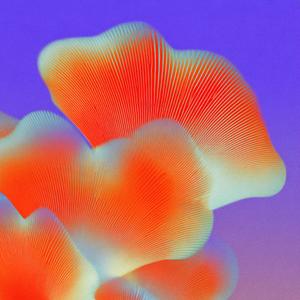 虽然我词不达意，但我真的爱你