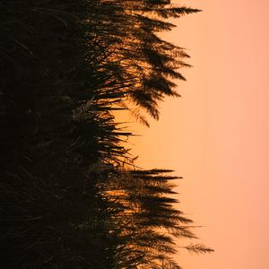 妈妈一起飞吧妈妈一起摇滚吧