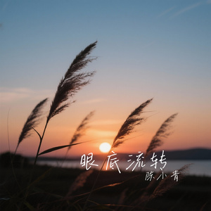 眼底流转
