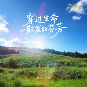 穿过生命散发的芬芳