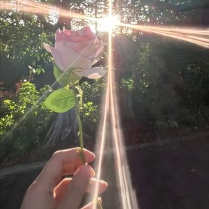 晚风狂响