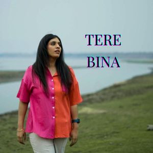 Tere Bina