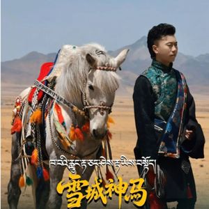 雪域神驹