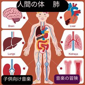 人間の体 肺 子供向け音楽
