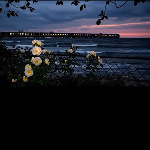 被爱与友情抛弃