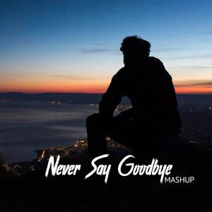 Never Say Goodbye (Mashup)