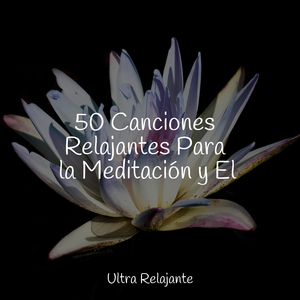 Árboles Que Se Balancean