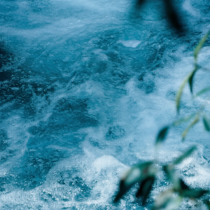 瘦子（cover张含韵&米卡）