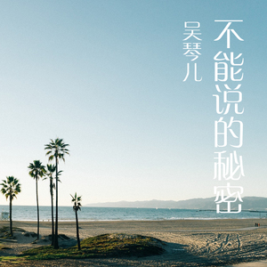 不能说的秘密