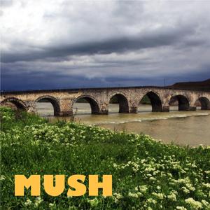 Mush