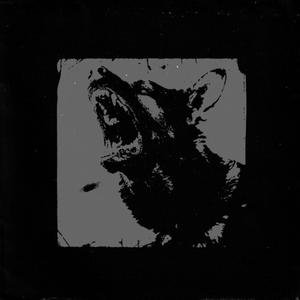 PANTHER (feat. Prod. ax14)