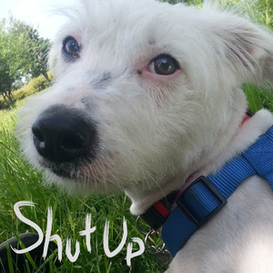 Impossible Objective