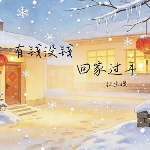 有钱没钱回家过年