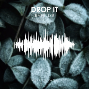 Drop It (Original Mix)