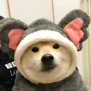 艺术家
