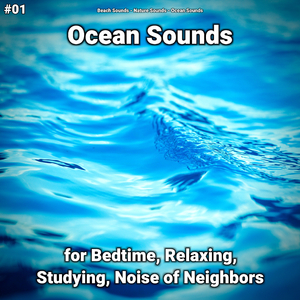 Ocean Sounds Pt. 25