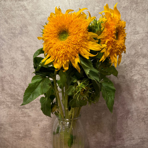 小手圈起的夏天母带222 伴奏