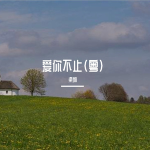 爱你不止（粤）