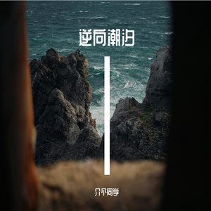 逆向潮汐