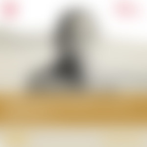 04-GSO-我们的孙中山－共和曙光